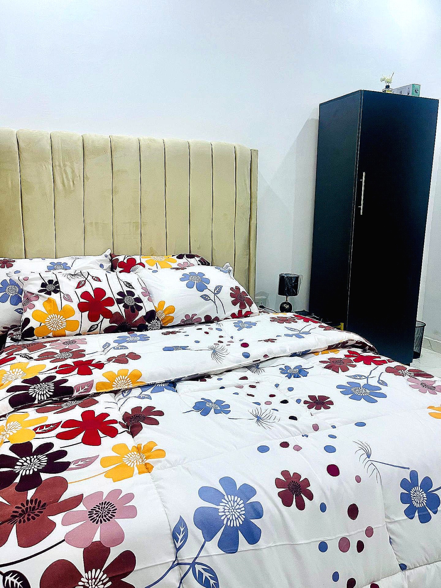 Modern Mini Flat, Ilupeju Lagos — photo 2